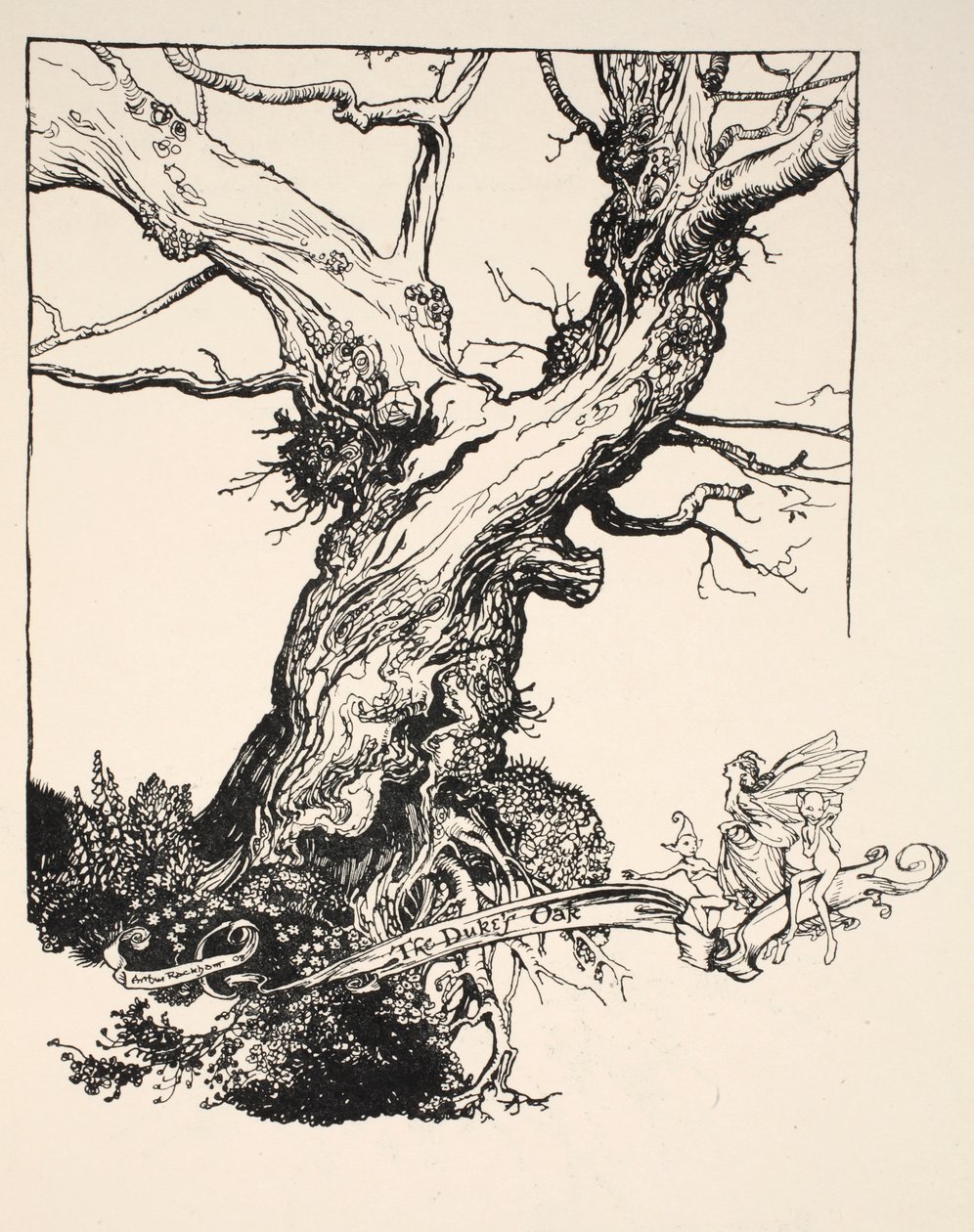 De eik van de hertog, illustratie uit 