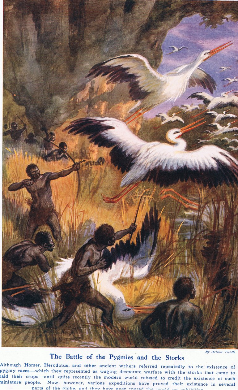 Slag van de Pygmeeën en de Ooievaars, illustratie uit 
