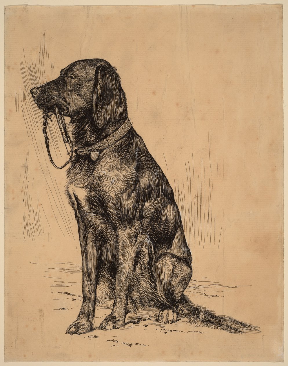 De hond van Aldrich, eind jaren 1880 (inkt op papier) door Arthur Bowen Davies