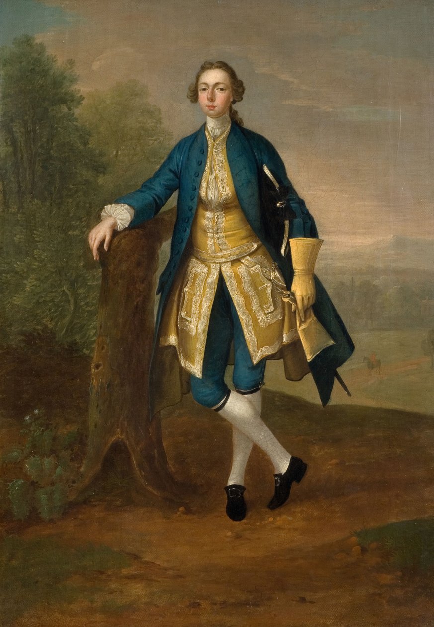 Portret van een Man in Blauw, 1785 door Arthur Devis