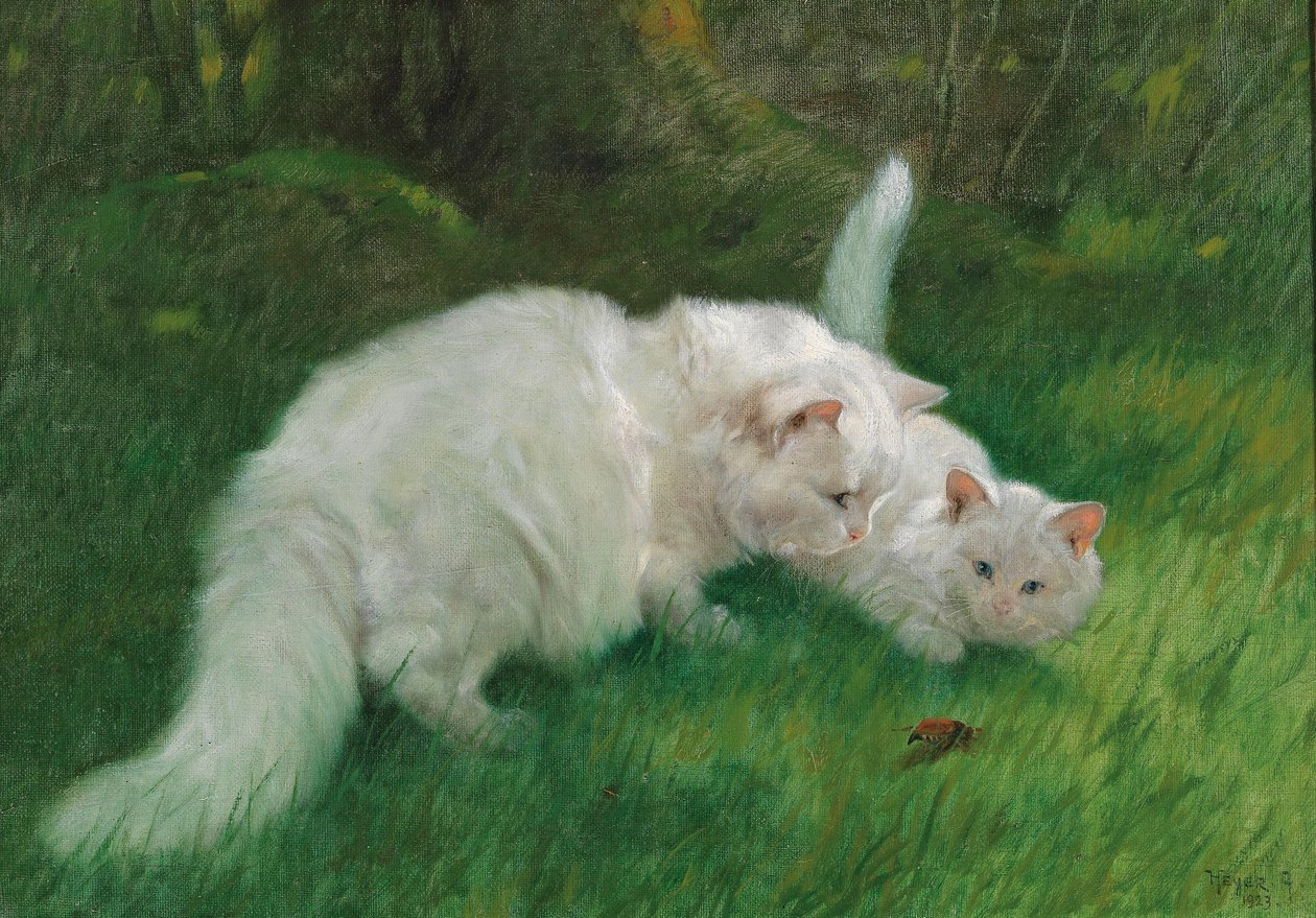 Arthur Heyer Interessante ontdekking in 1923 door Arthur Heyer