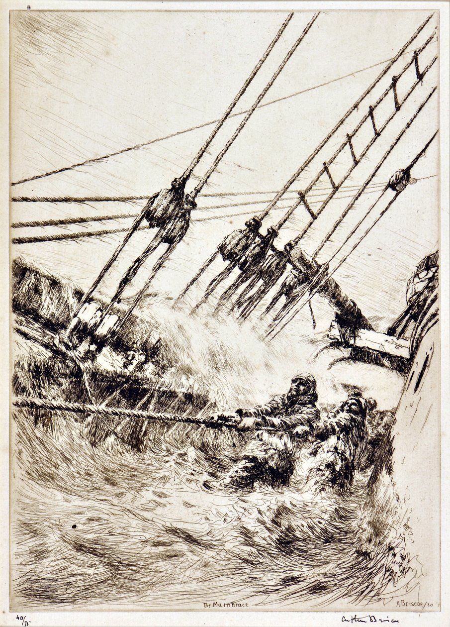 De Hoofdbrace door Arthur John Briscoe