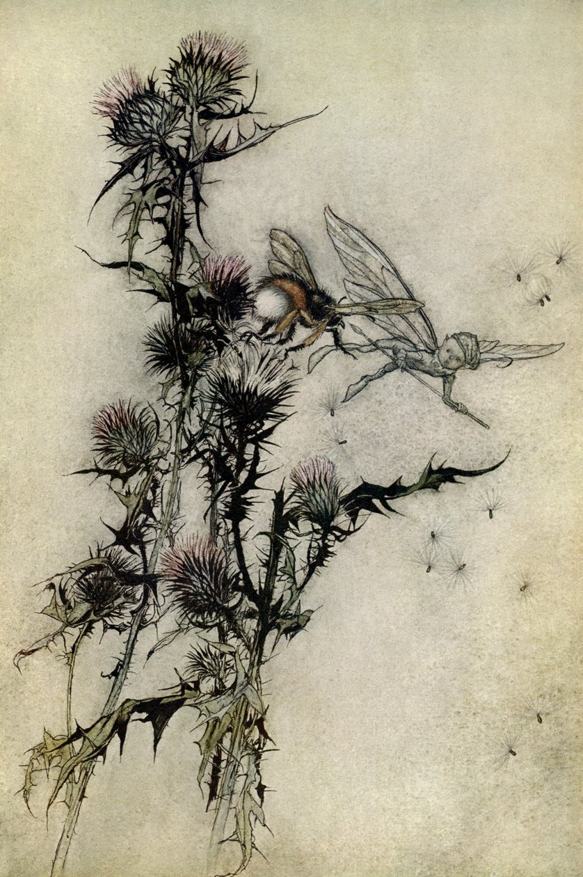 Een Midzomernachtsdroom door Arthur Rackham