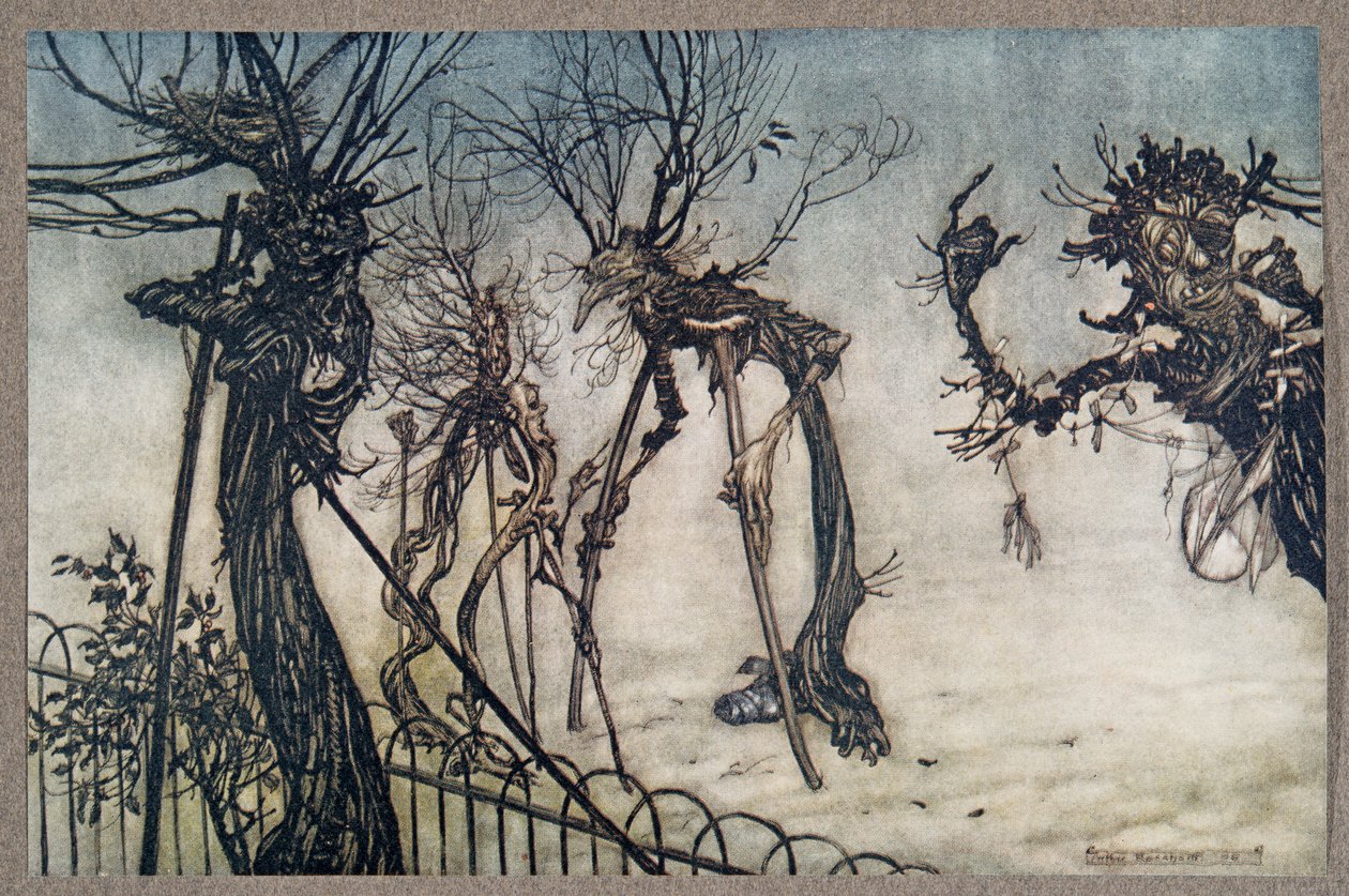 Een vlierbes strompelde over het pad en stond te kletsen met enkele jonge kinderen .., uit Peter Pan in Kensington Gardens door J M Barrie (1860 - 1937), pub. 1906 door Arthur Rackham