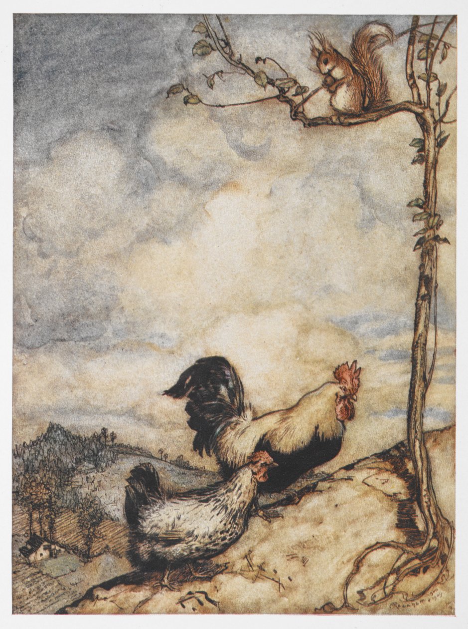 Een illustratie van een kip, haan en eekhoorn uit De avonturen van Chanticleer en Partlet. door Arthur Rackham