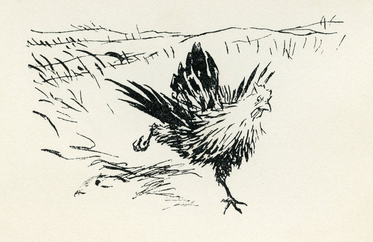 Henny-Penny door Arthur Rackham