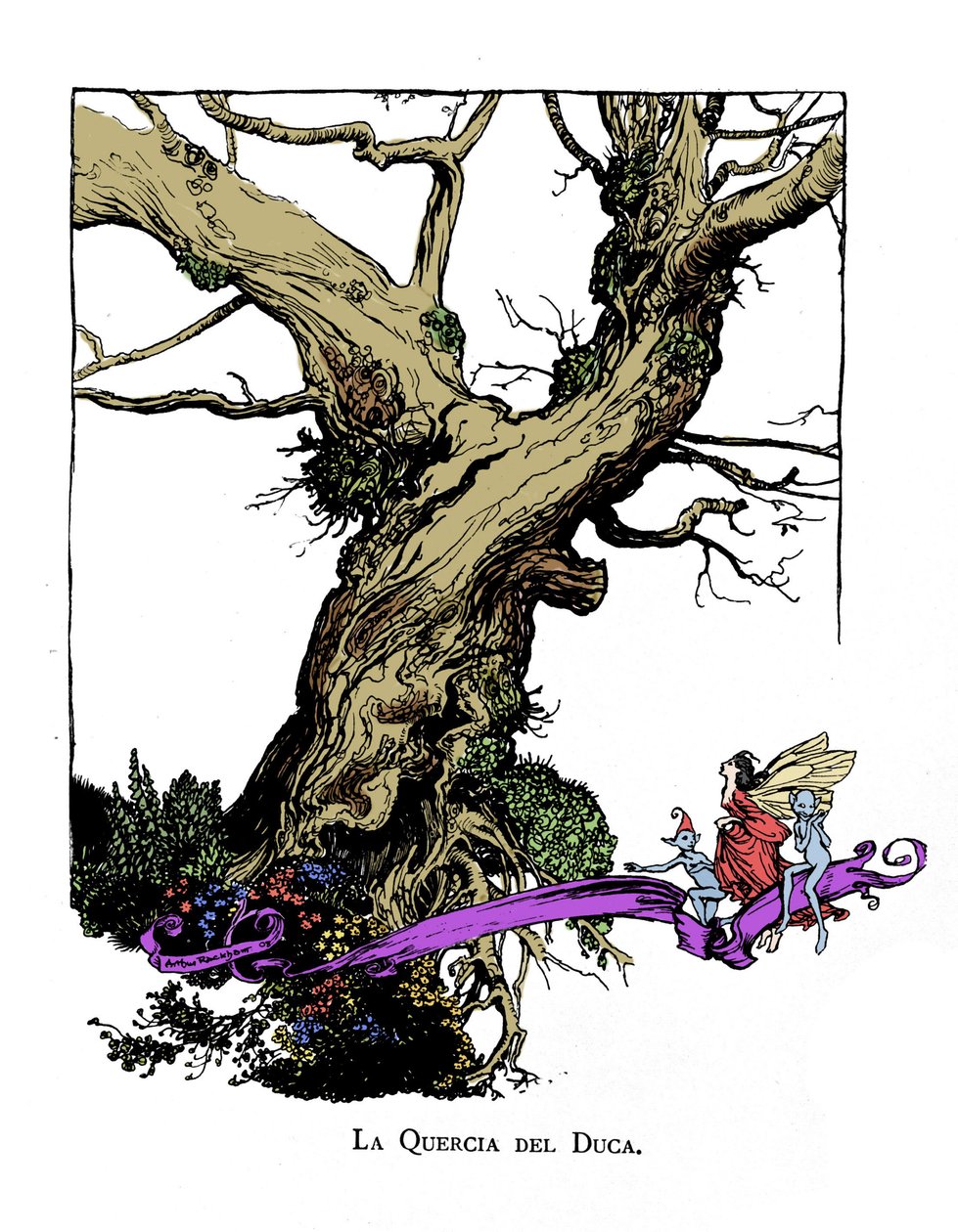 Illustratie voor De Droom van een Zomernacht door William SHAKESPEARE door Arthur Rackham