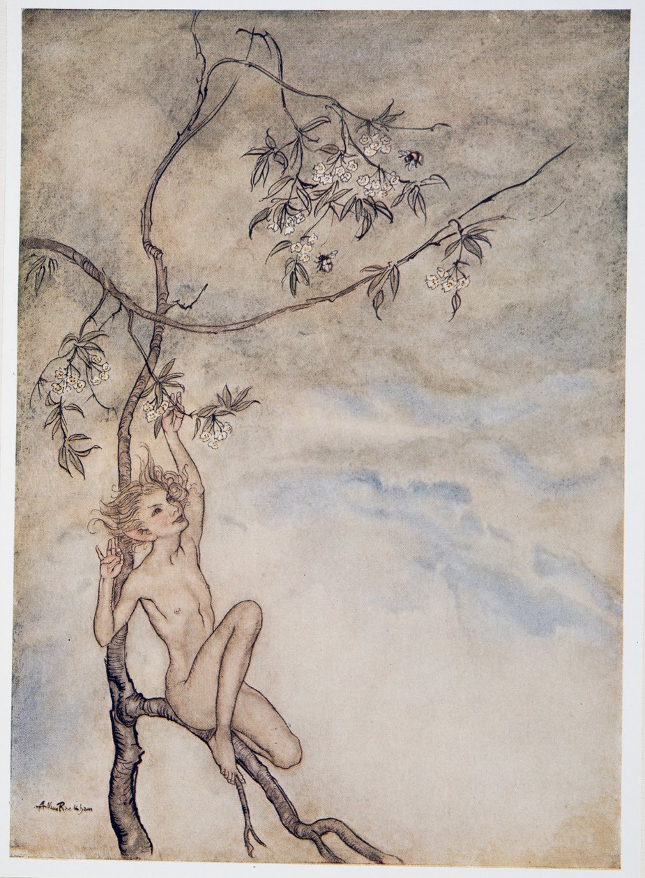 Vrolijk, vrolijk zal ik nu leven onder de bloesem die aan de tak hangt, illustratie uit William Shakespeares De Storm, uitgegeven 1926 door Arthur Rackham