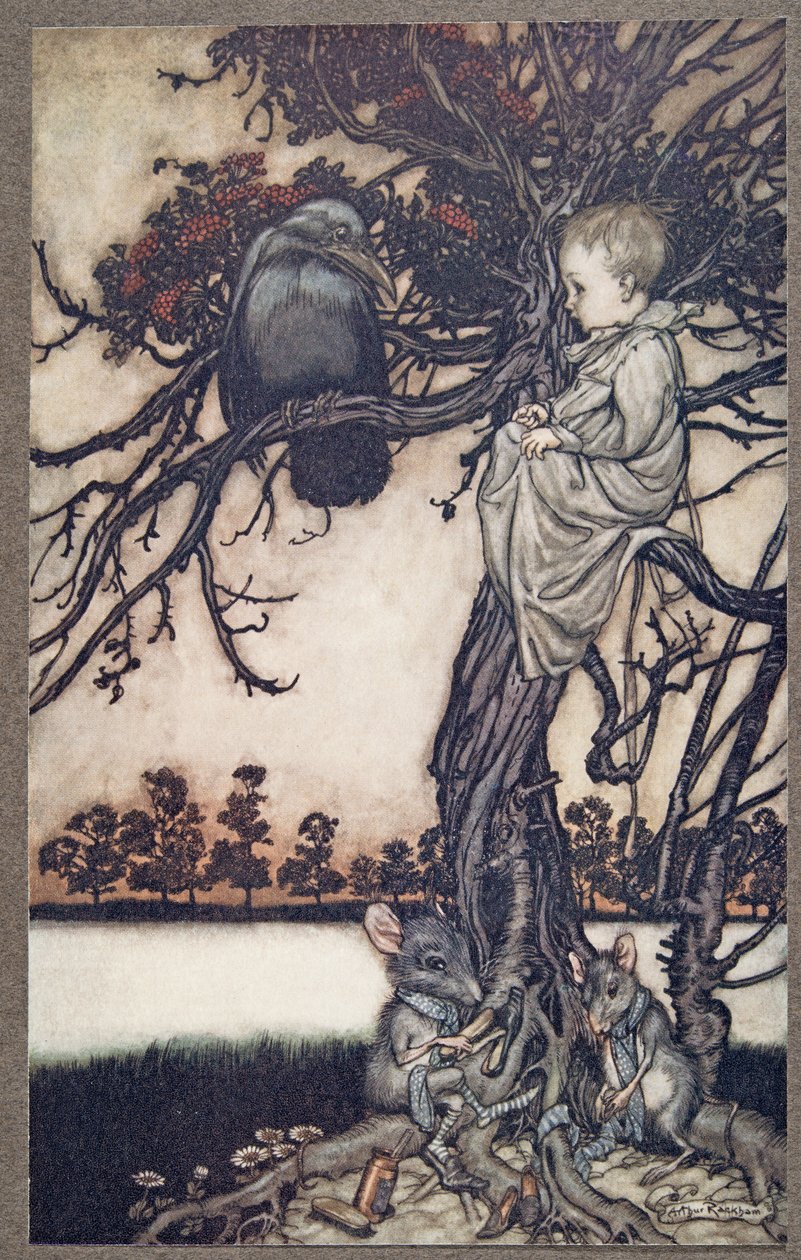 Legde zijn vreemde geval voor aan Oude Solomon Caw, uit Peter Pan in Kensington Gardens door J M Barrie (1860 - 1937), pub. 1906 door Arthur Rackham