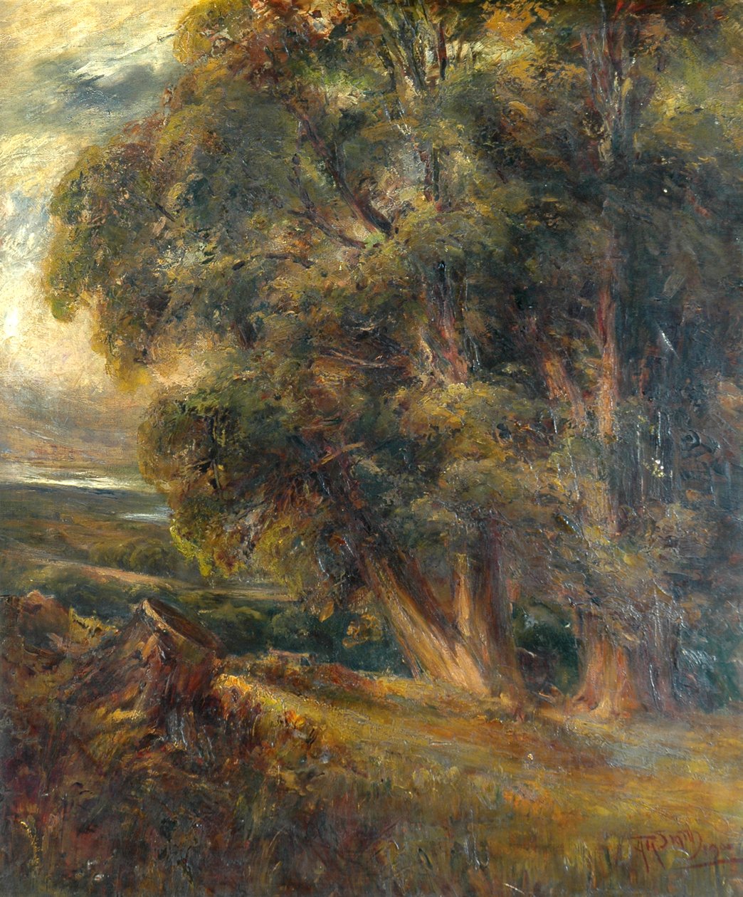 Boomstudie door Arthur Reginald Smith