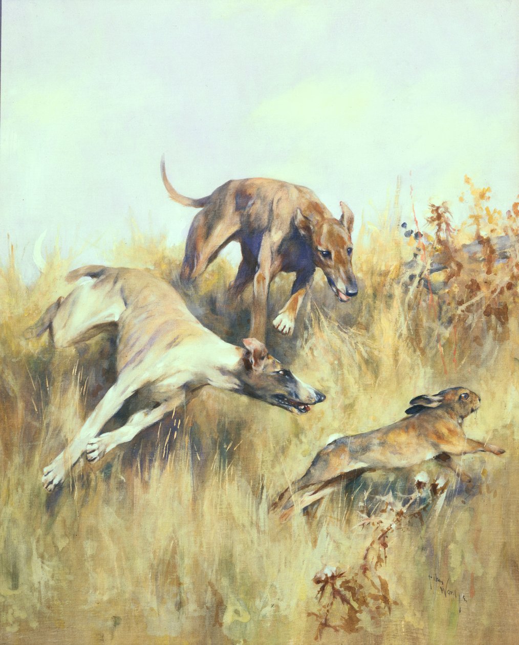 Windhonden die achtervolgen door Arthur Wardle