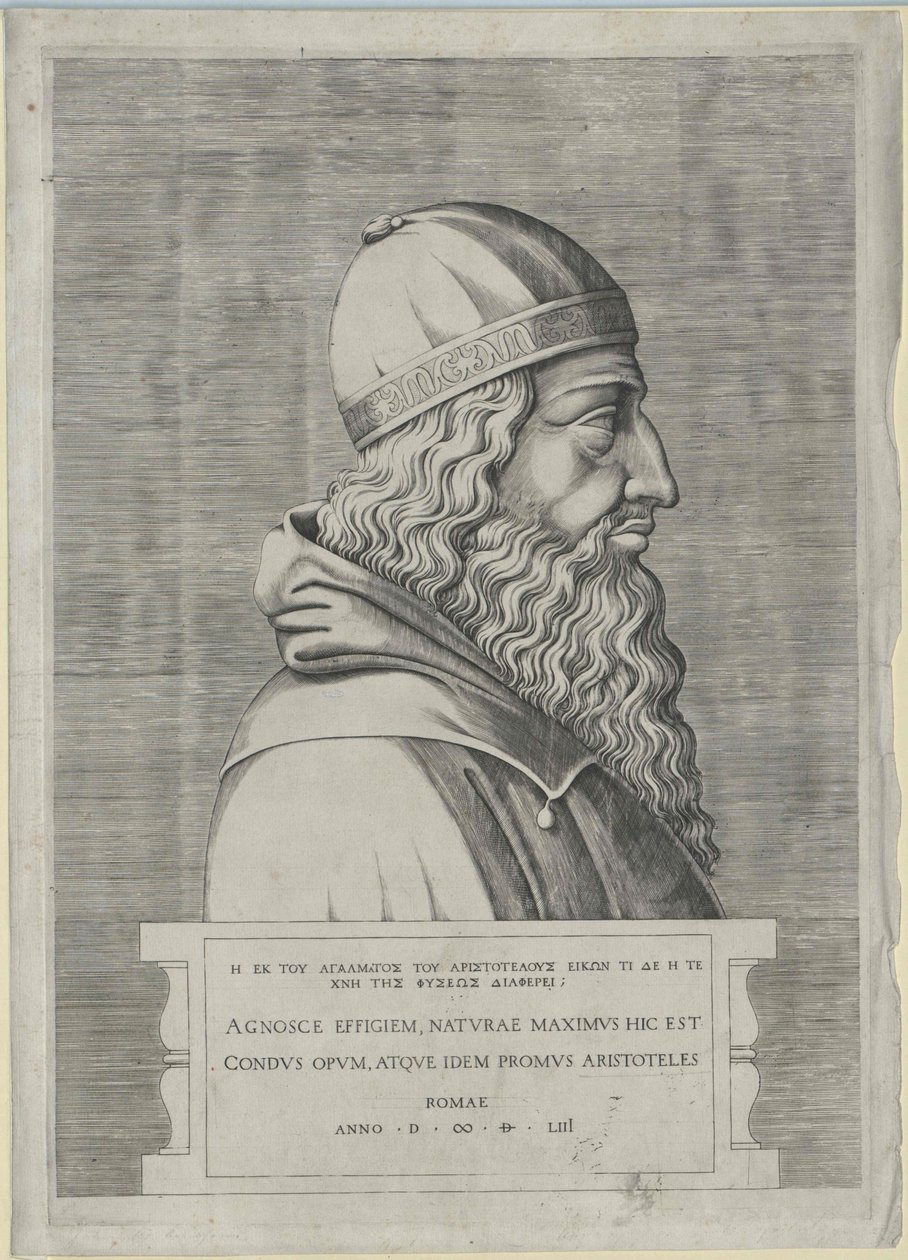 Aristoteles (afdrukken) door Artist Unknown