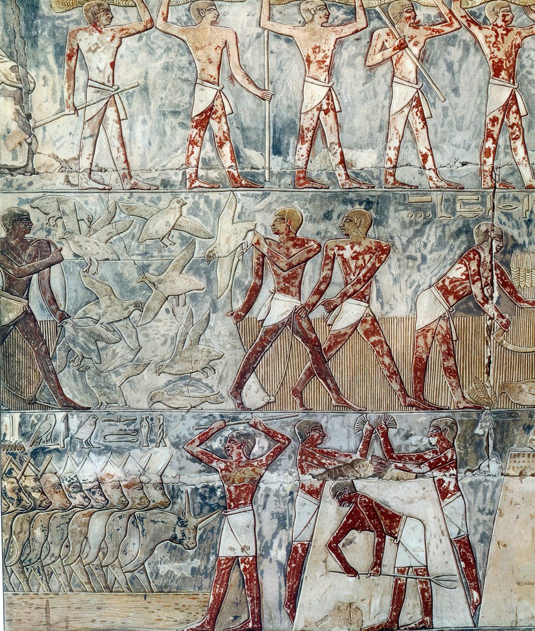 Kunst Egypte: landbouwscène, 6e dynastie door Artist Unknown