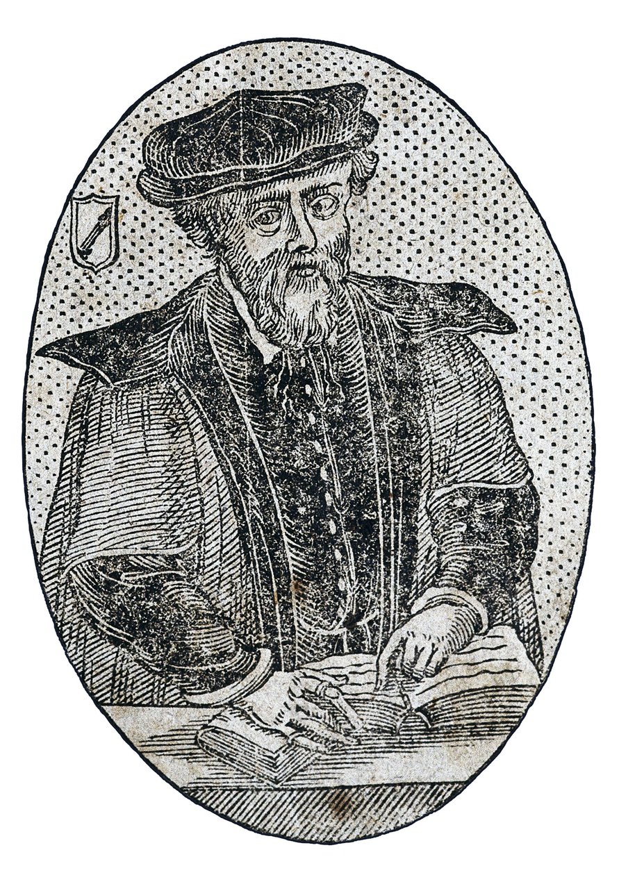 MONARDES, Nicolas (1507-1888). Twee boeken, een over alle dingen die uit onze West-Indië worden gebracht en die dienen voor het gebruik van de geneeskunde, en de ander over de bezoarsteen en de slangekruid. door Artist Unknown
