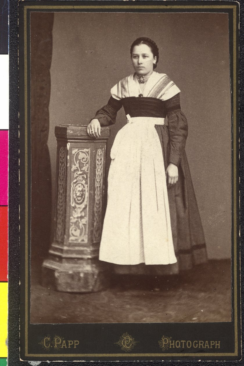 Vrouw in livrei - Salzburg door Artist Unknown