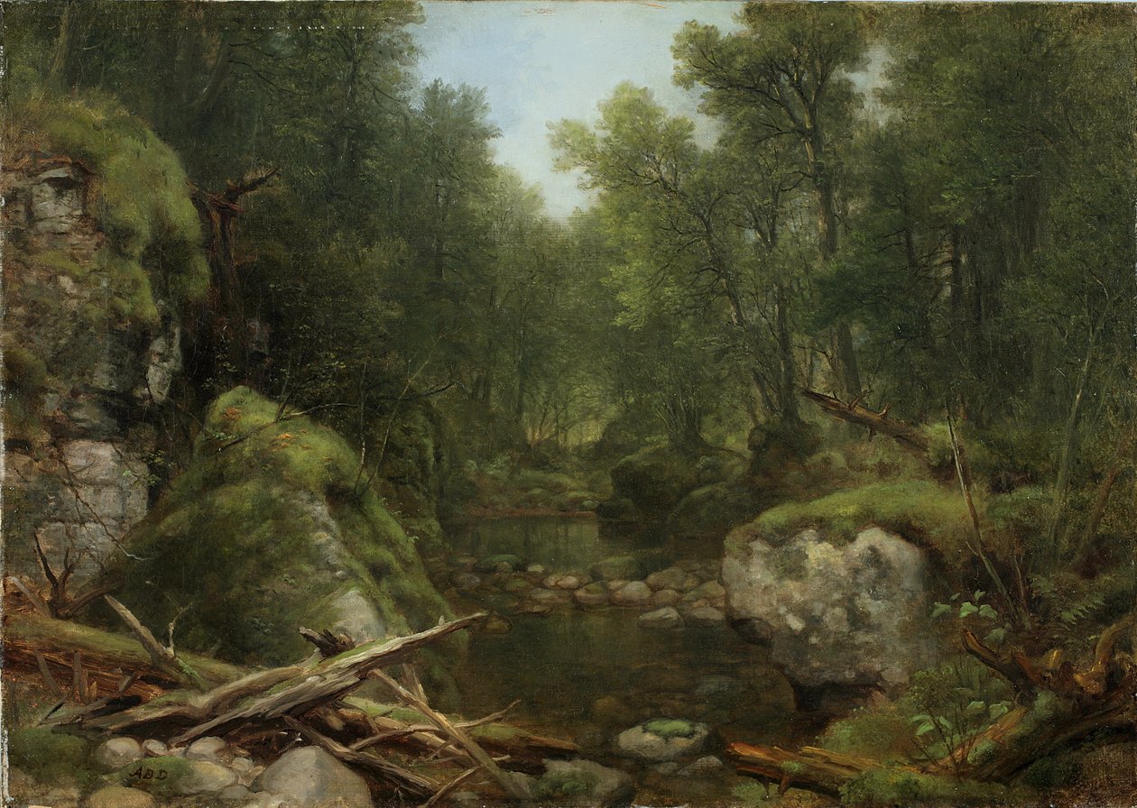 Chapel Pond Brook, Keene Flats, Adirondack Mountains, N.Y., 1870 door Asher Brown Durand