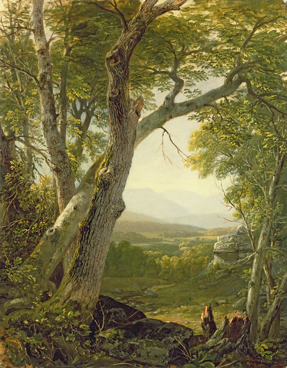 Shandaken Ridge, Kingston, New York, c.1854 door Asher Brown Durand