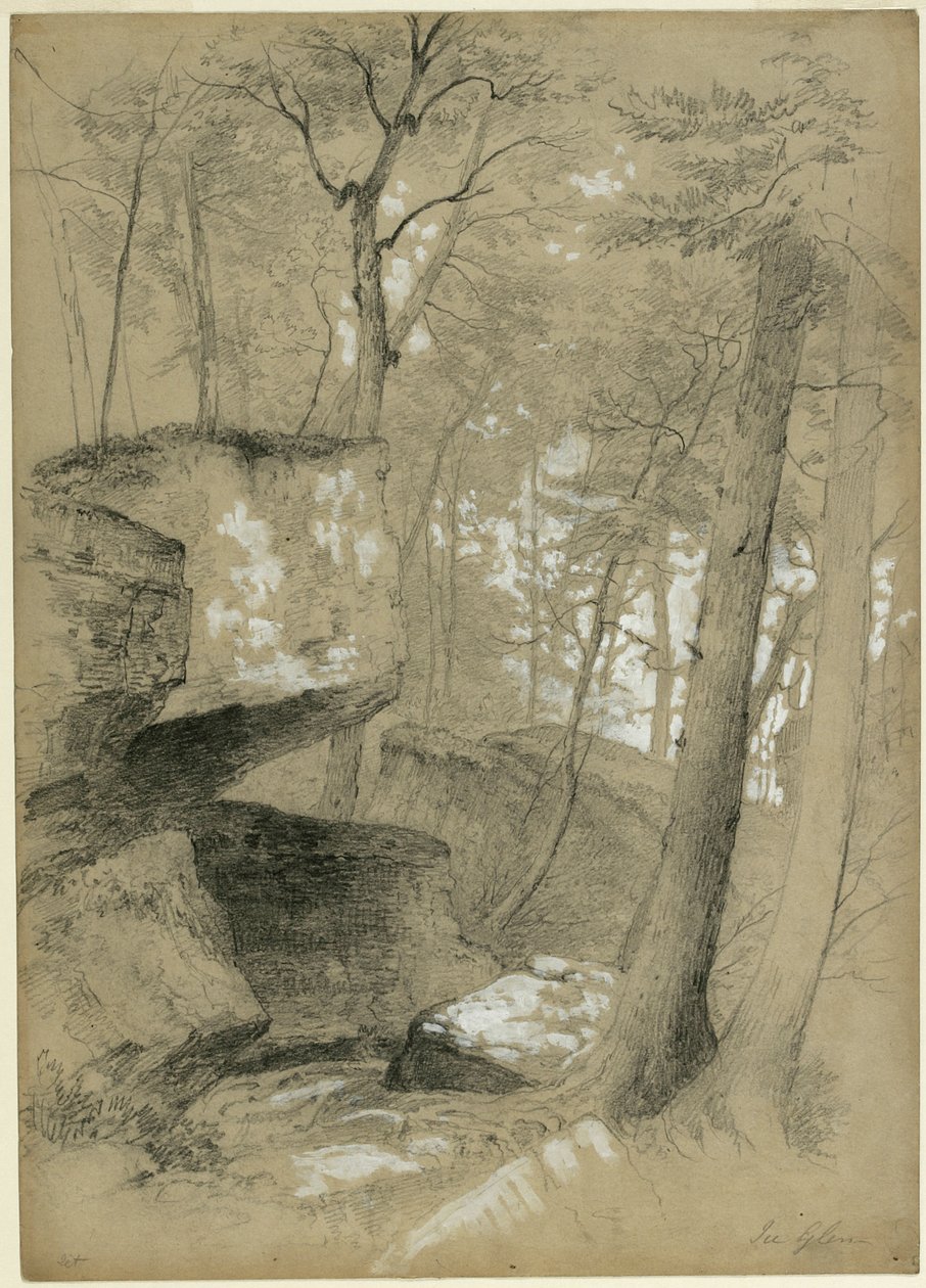 Studie van rotsen en bomen in Ice Glen, Stockbridge, Massachusetts, 1851 door Asher Brown Durand