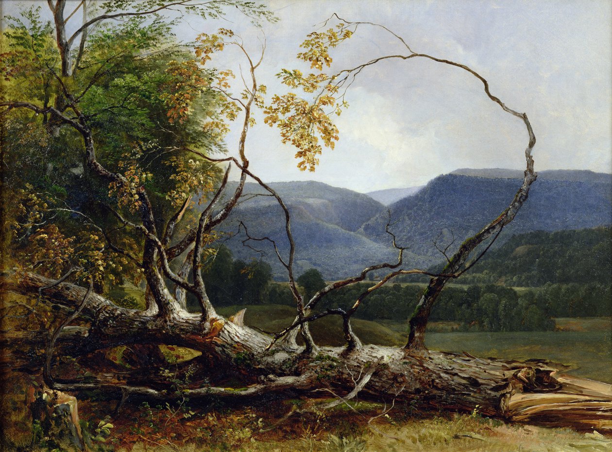 Studie uit de natuur, Stratton Notch, Vermont, 1853 door Asher Brown Durand