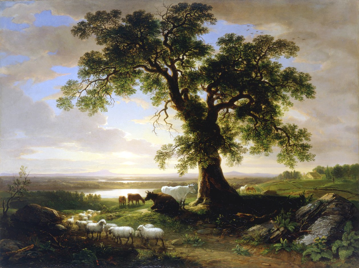 De eenzame eik De oude eik, 1844 door Asher Brown Durand