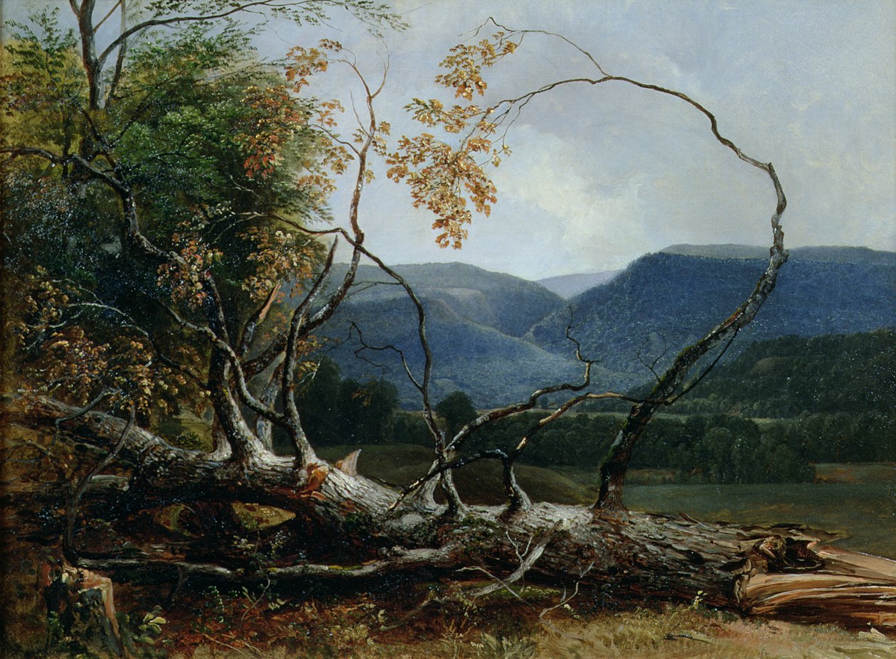 Stratton Notch, Vermont door Asher Brown Durand