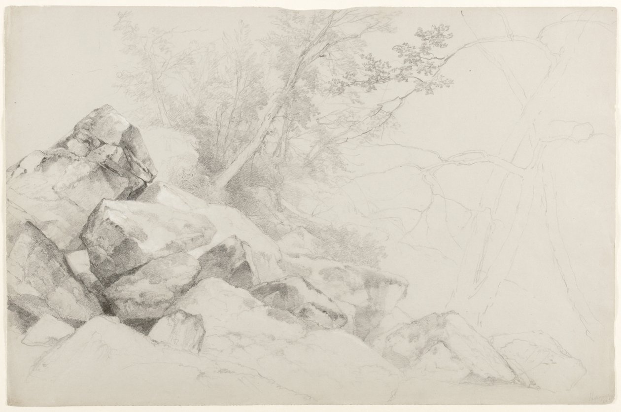 Studie van rotsen met bomen, Den Haag, Lake George, New York, 1862 (grafiet op grijs papier) door Asher Brown Durand