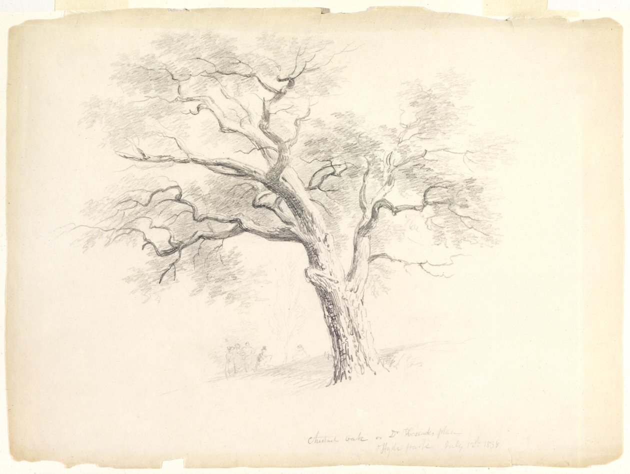 De kastanje-eik op het Hosack-landgoed, Hyde Park, New York met vijf figuren en een kunstenaar die schetst, 1838 door Asher Brown Durand