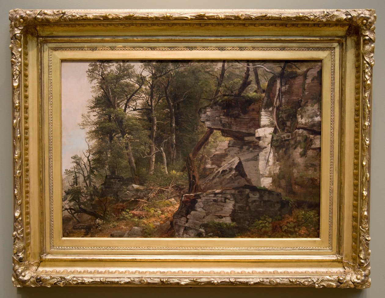 Bomen op een rotsachtige heuvel, ca. 1849 door Asher Brown Durand