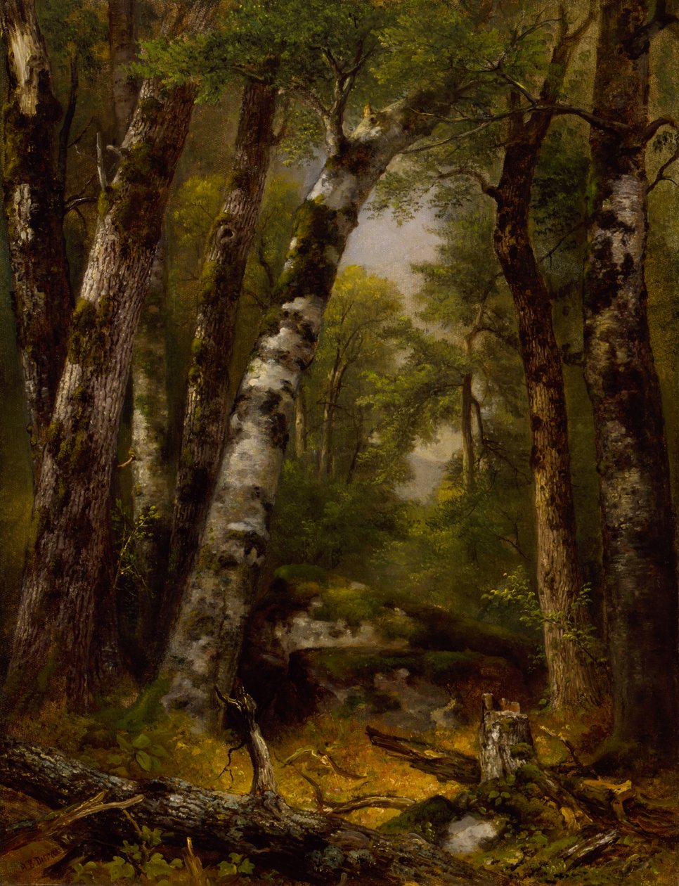 Bosvallei, ca. 1850-1855 door Asher Brown Durand