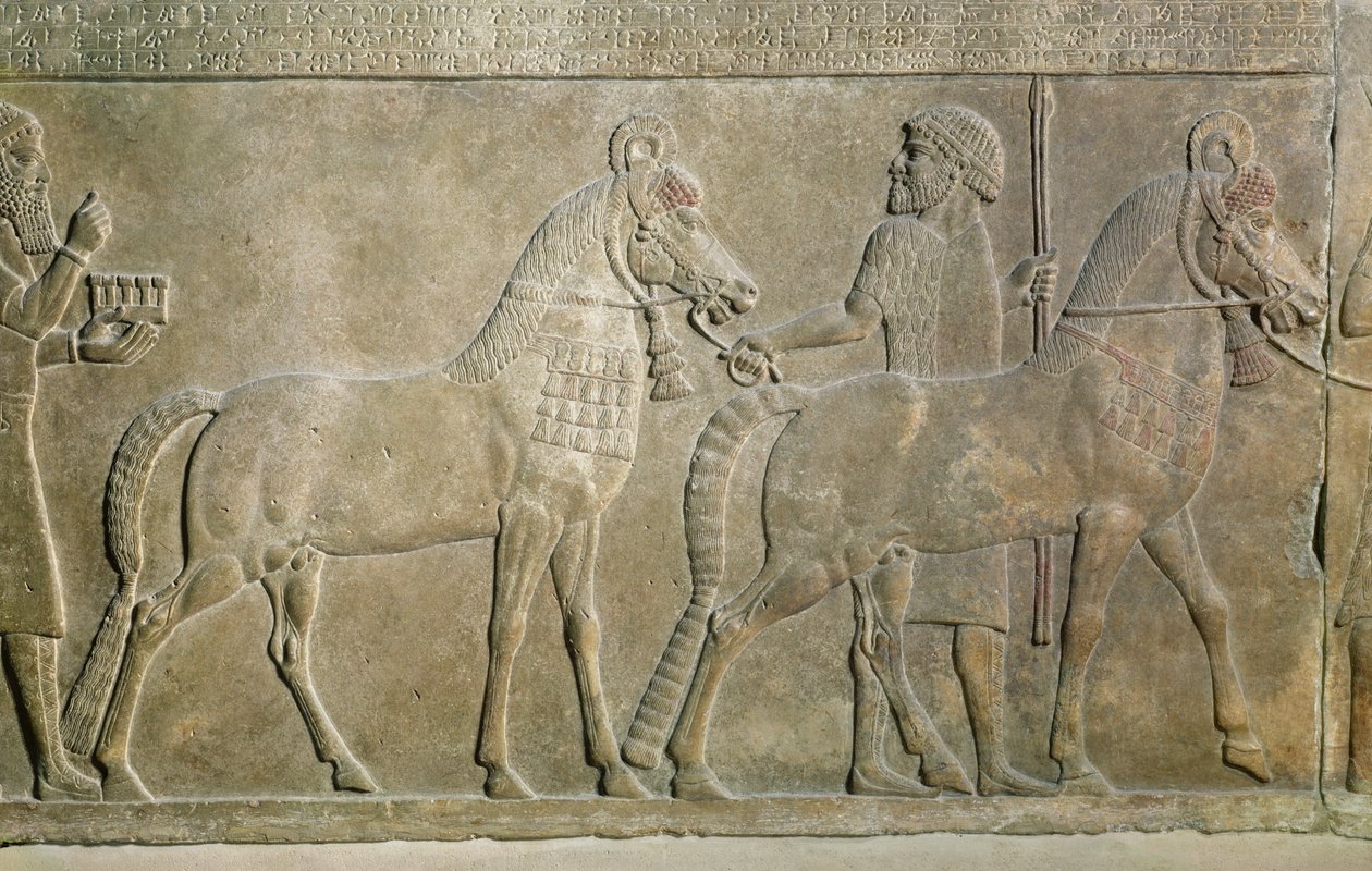 Reliëf dat de tributaries van Sargon II afbeeldt, van het Paleis van Sargon II in Khorsabad, Irak door Assyrian