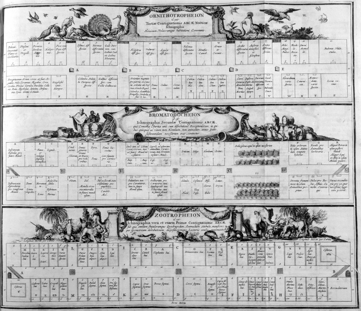 Tabel van de soorten, 1765 door Athanasius Kircher