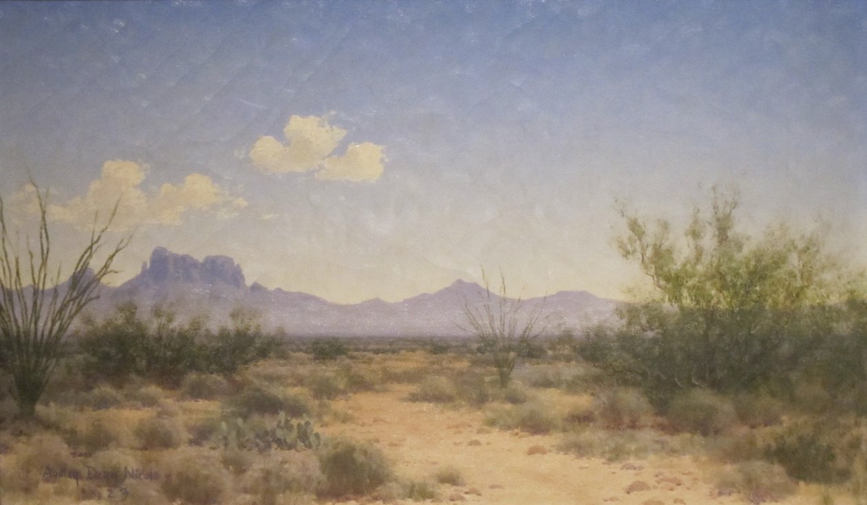 Zonlandschap door Audley Dean Nicols