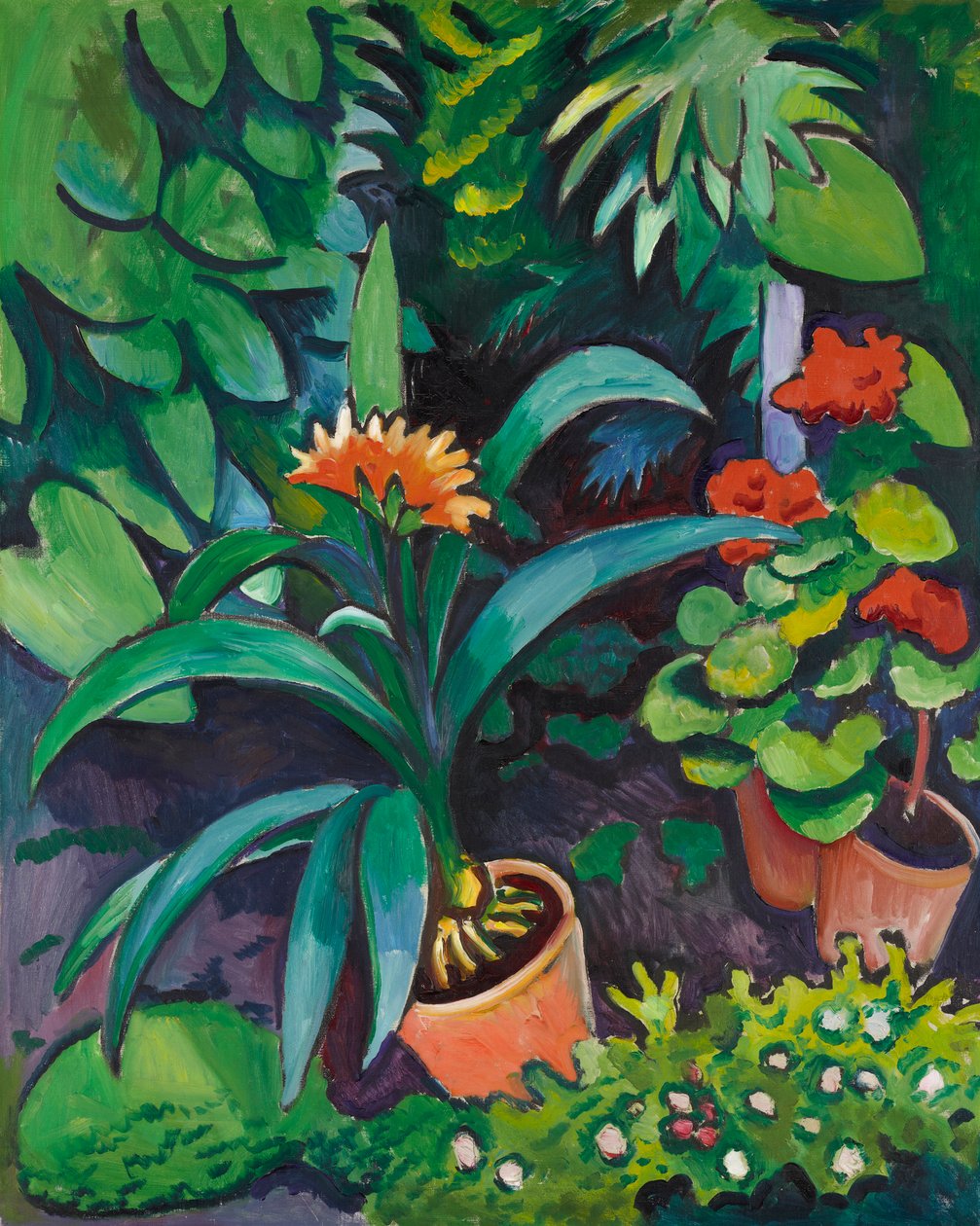 Bloemen in de tuin, clivia