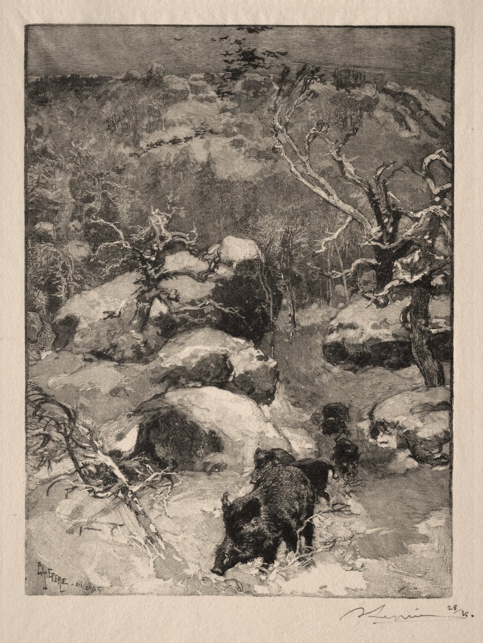 Roche Cuvier Chatillon door Auguste Louis Lepère