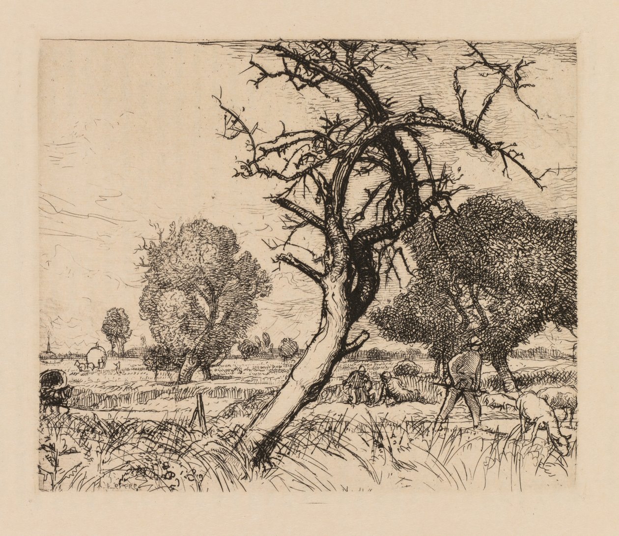 Auguste Lepère: De dode appelboom Picardië, 1913 door Auguste Louis Lepère