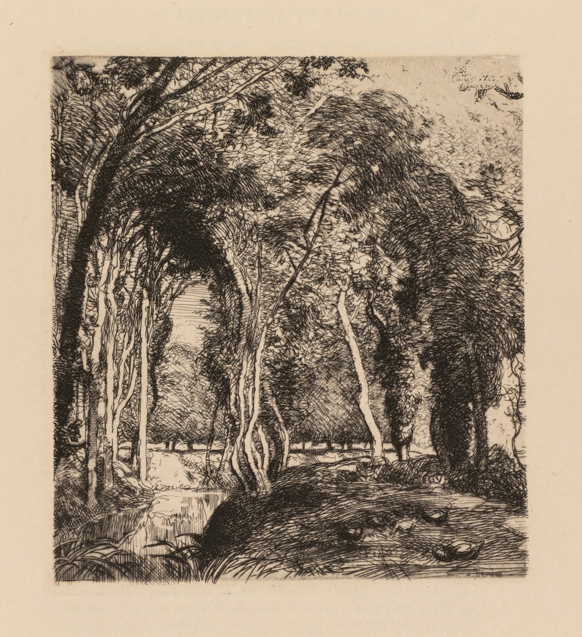 Auguste Lepère: Onder de Bomen, bij de Rigonette (Vendée) door Auguste Louis Lepère