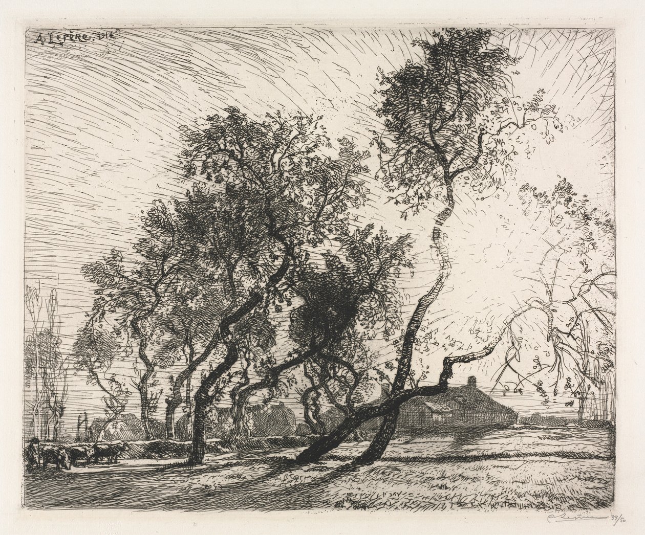 Boerderij met Populieren van Holland, 1914 door Auguste Louis Lepère
