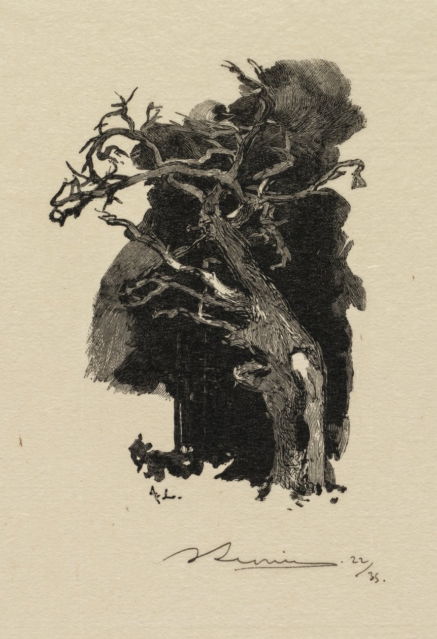 Fontainebleau Bos: De Woedende door Auguste Louis Lepère