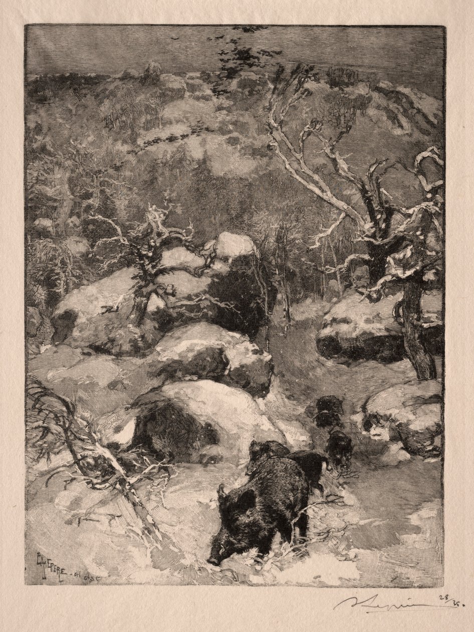 Roche Cuvier Chatillon, 1887 door Auguste Louis Lepère