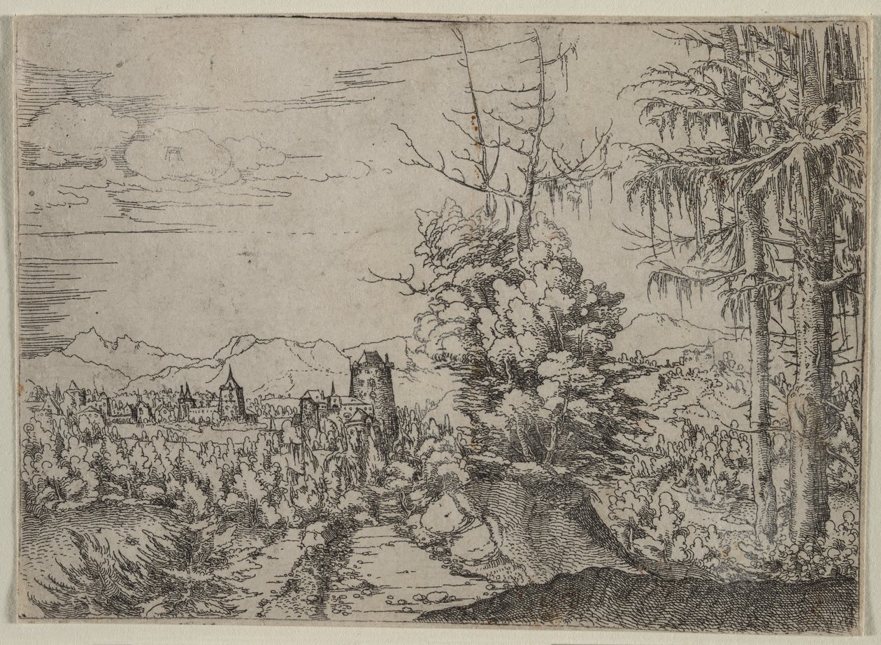 Landschap met twee dennen door Augustin Hirschvogel