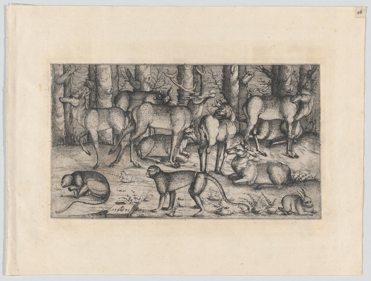Herten in het bos, 1545 door Augustin Hirschvogel