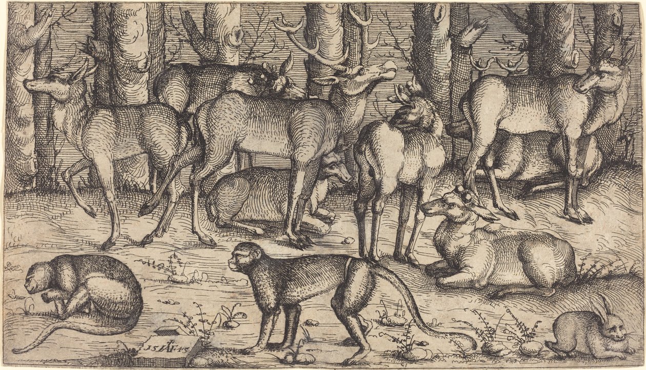 Herten in het Bos door Augustin Hirschvogel