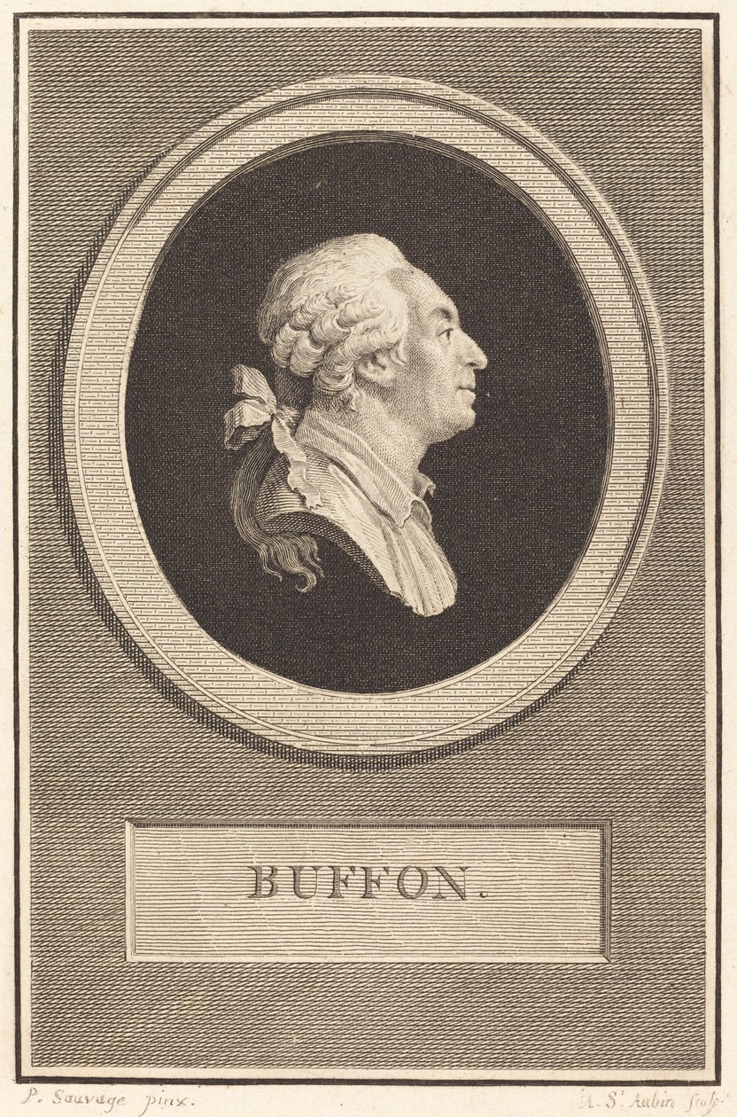 Buffon door Augustin de Saint Aubin after Piat Joseph Sauvage