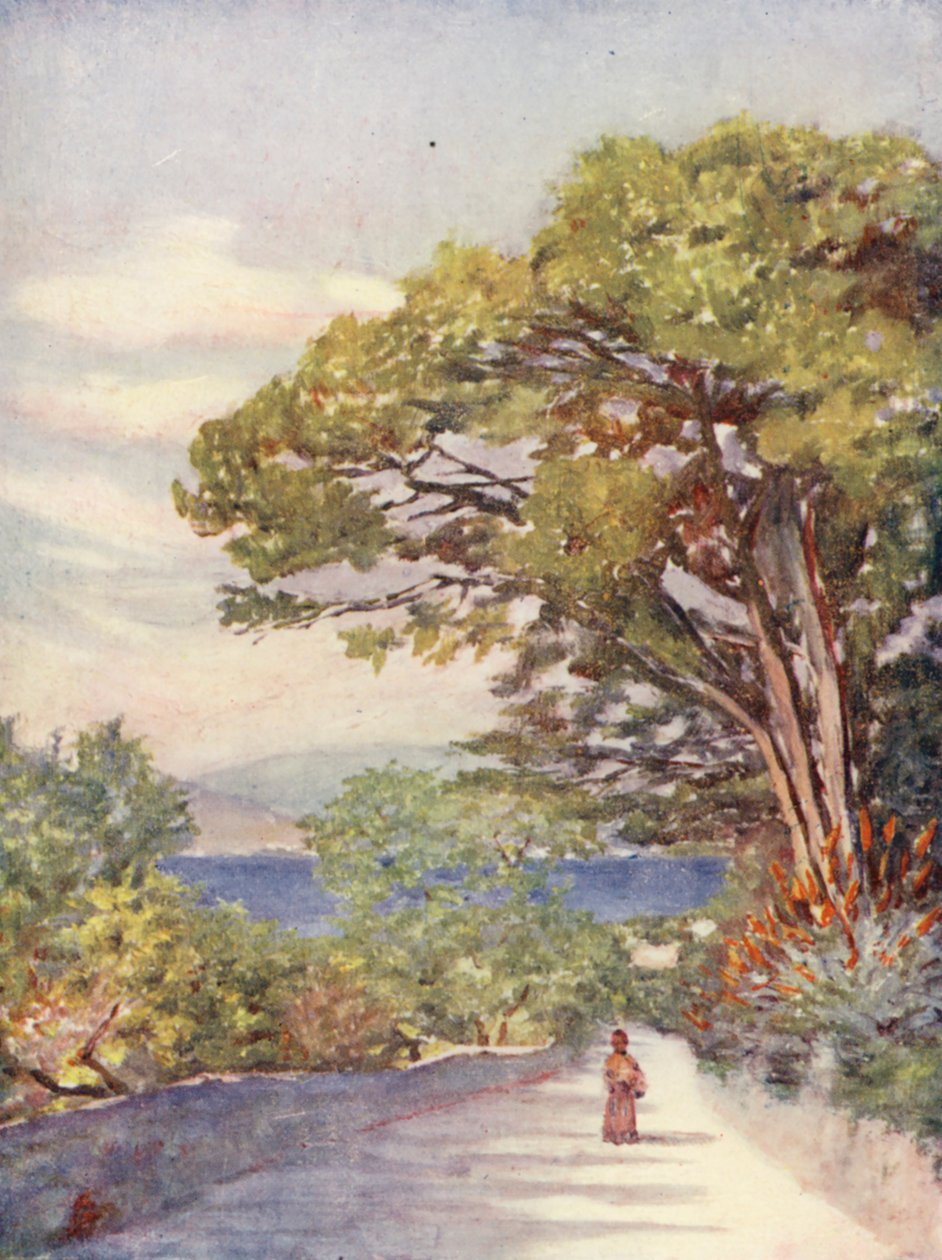 Een weg in Gibraltar (kleurenlitho) door Augustine Fitzgerald