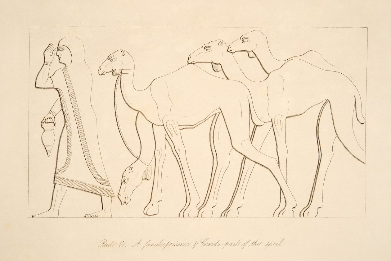 Een vrouwelijke gevangene en kameel, illustratie uit Monumenten van Nineveh, 1849 door Austen Henry Layard