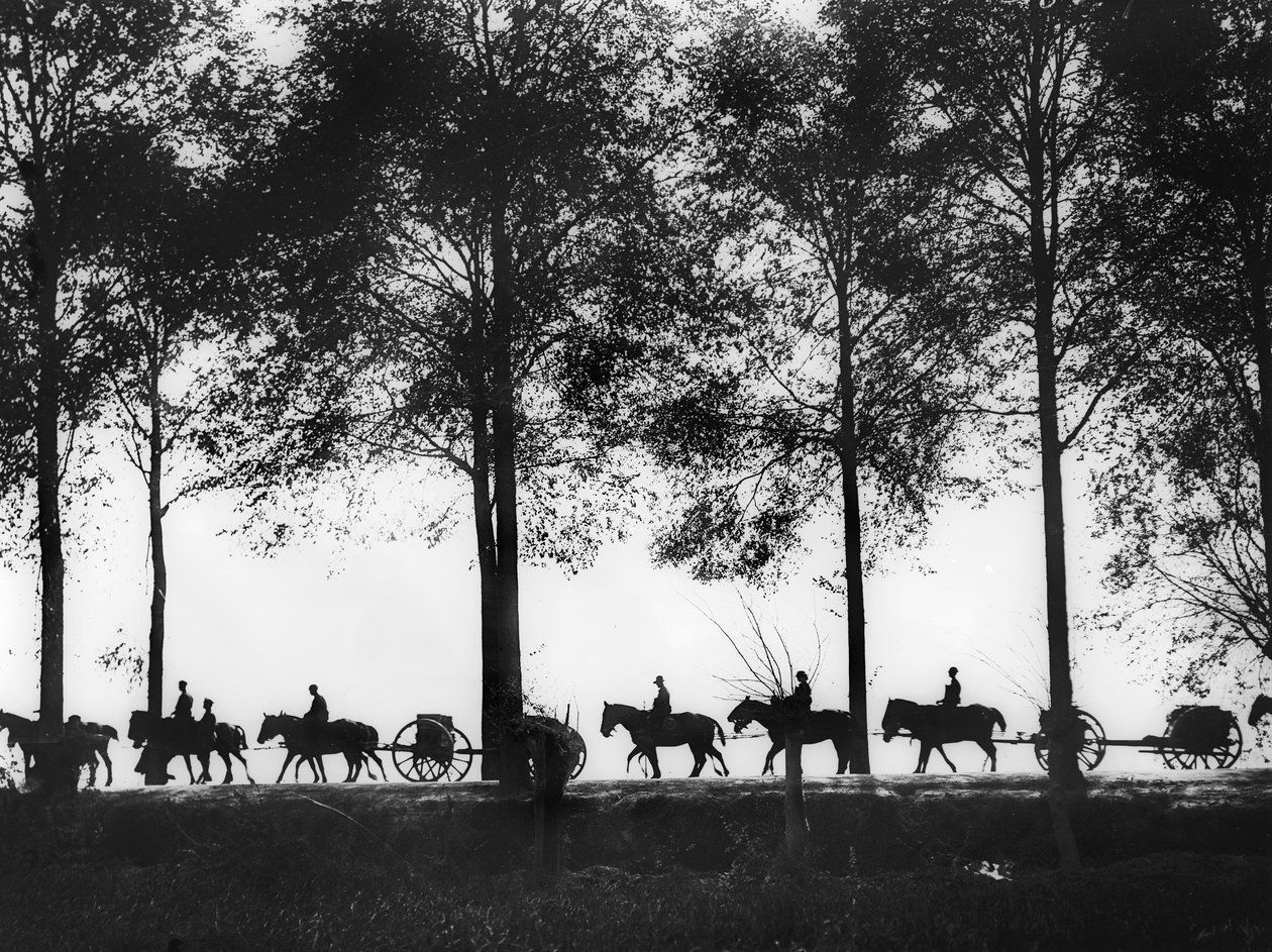 Een silhouet van Australische artillerie limbers geladen met munitie die langs de Ypres Road rijden, 25 september 1917 door Australian Photographer