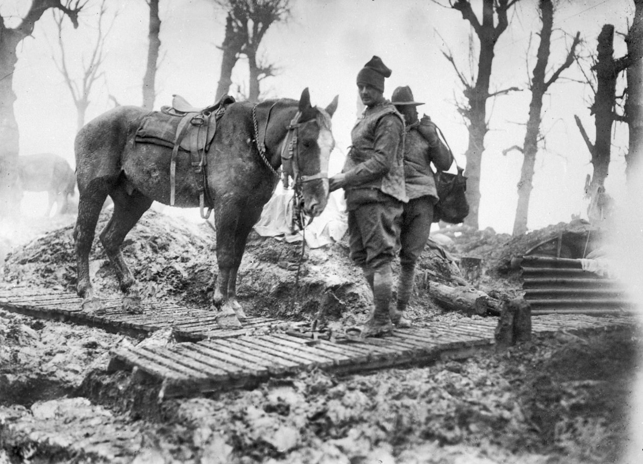 Een artilleriepaard gebruikt voor het transporteren van munitie naar de kanonnen en zijn onbekende Australische bestuurder op een eendenbordpad tussen Mametz en Montauban, december 1916 door Australian Photographer