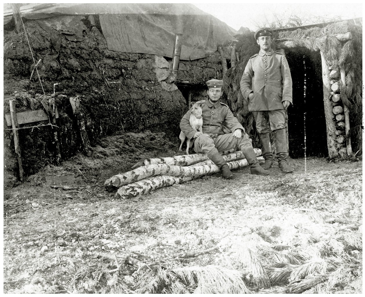 Oostenrijkse soldaten met een hond, 1914-18 door Austrian Photographer