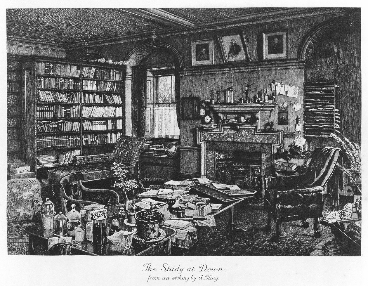 De Studie in Down, uitgegeven 1882 (gravure) door Axel (after) Haig