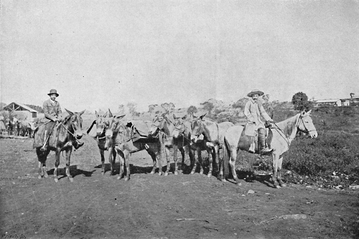 Handelaren van het binnenland, 1895 door Axel Frick
